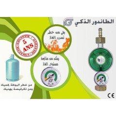 Igt Détendeur à gaz IGT